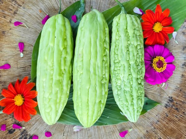 Green Bitter Melon Gourd Ku Gua Vegetable Seeds Fashion