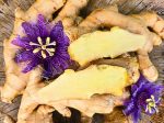 Plant Bundle Discount - 1 each Ginger, Turmeric, & Galangal Starter Sprouted LIVE Plants For Cheap