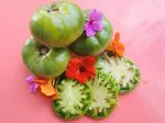 Green Giant Beefsteak Tomato Supply