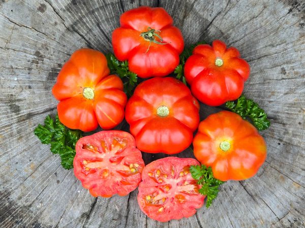 Costoluto Genovese Tomato Seeds For Sale