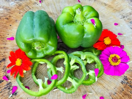 Emerald Giant Green Sweet Bell Pepper Seeds Fashion