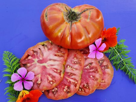 Texwine Beefsteak Tomato Hot on Sale