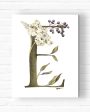 Monogrammed Letter Canvas For Discount