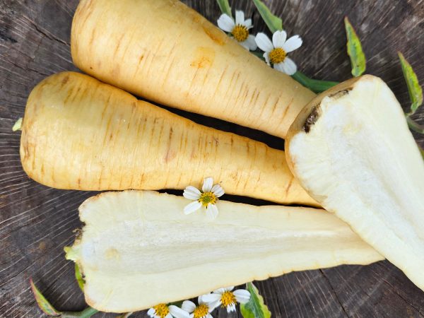 Hollow Crown Parsnip Vegetable Seeds Online now