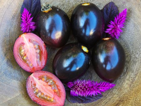 Midnight Roma Black Heirloom Tomato Seed Online Sale