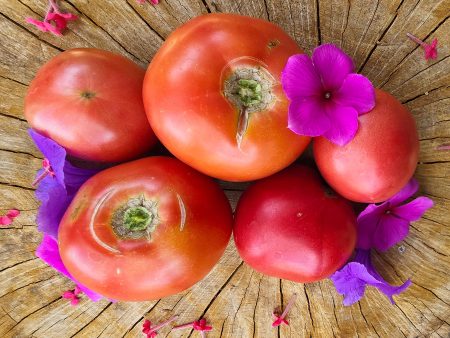 Dwarf Rosella Crimson Tomato Discount