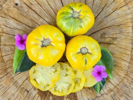 Pork Chop Yellow Beefsteak Tomato Seeds Sale