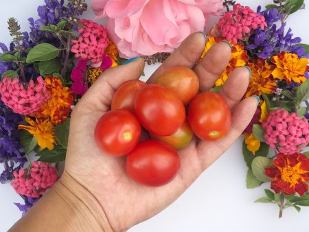 Principe Borghese Cherry Tomato Seeds For Cheap