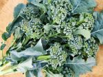 Piracicaba Brazilian Sprouting Broccoli Seeds Online now