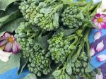 Piracicaba Brazilian Sprouting Broccoli Seeds Online now