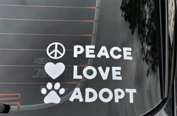 Window Decal - Peace Love Adopt on Sale