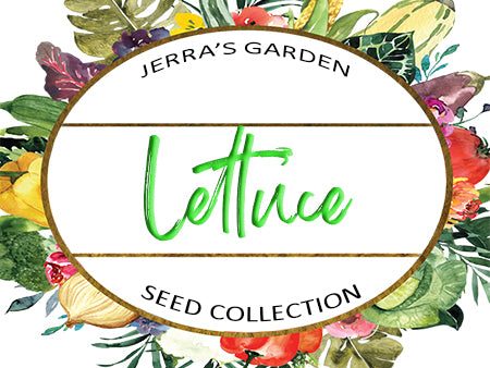 Lettuce Heirloom Seed Collection Gift Set Online