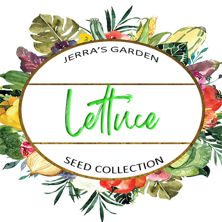 Lettuce Heirloom Seed Collection Gift Set Online