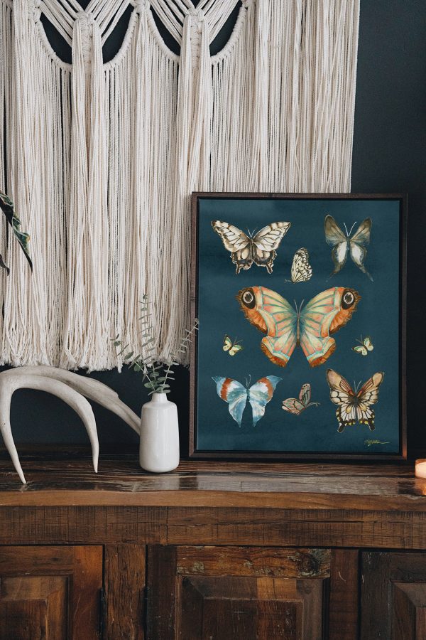 Butterfly Study Canvas Sale