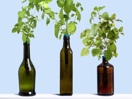 Bottle Garden Kit Sale