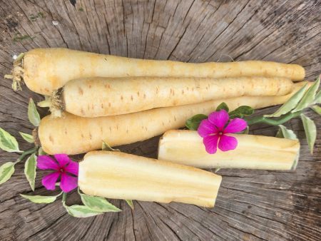 Lunar White Carrot Seeds Fashion