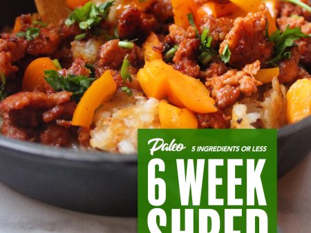 5 Ingredients or Less - 6 Week Shred - Paleo Cheap