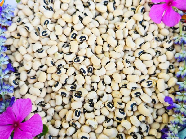 California Black-Eye Pea Cowpea Seeds Supply