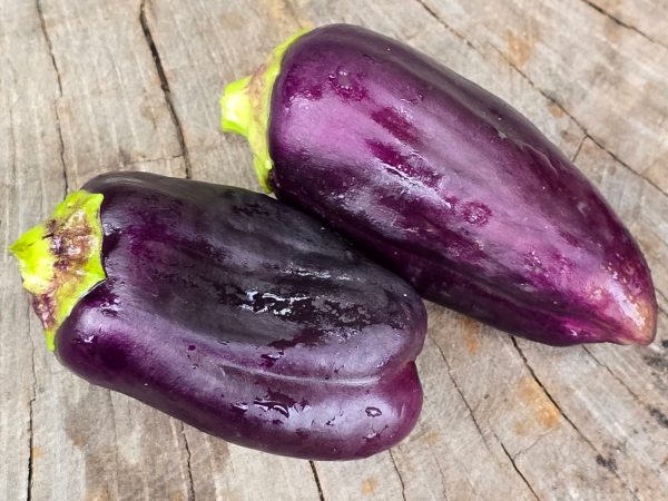 Lilac Bell Sweet Bell Pepper Seeds Online