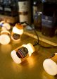 Duke s Jar String Lights Sale