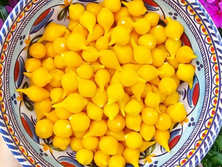 Yellow Biquinho aka Sweety Drop Sweet Pepper Seeds Hot on Sale