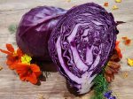 Mammoth Red Rock Red Cabbage Seeds Cheap