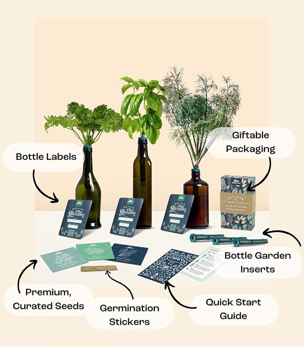 Bottle Garden Kit Sale