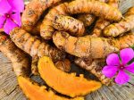 Plant Bundle Discount - 1 each Ginger, Turmeric, & Galangal Starter Sprouted LIVE Plants For Cheap