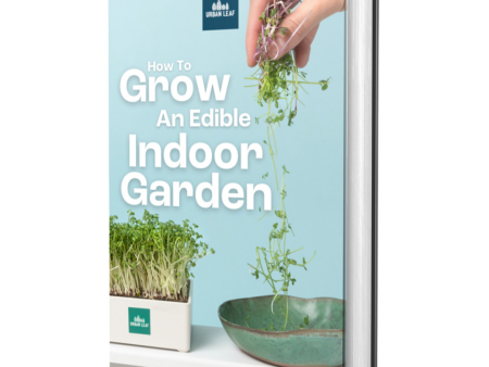 How To Grow An Edible Indoor Garden (Digital Download) For Sale