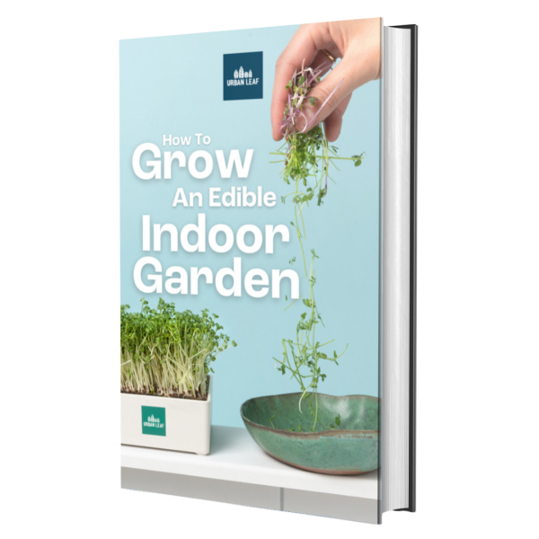 How To Grow An Edible Indoor Garden (Digital Download) For Sale