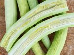 RARE Indian Snake Cucumber Seeds Cheap