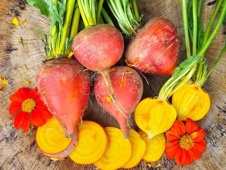 Golden Beet Seeds on Sale