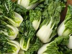 Extra Dwarf 2 Inch Bok Choy Seeds For Discount