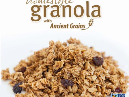 Granola | Bulk Oatmeal Raisin on Sale