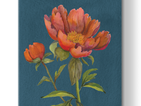 Red Peony Fine Art Canvas For Discount