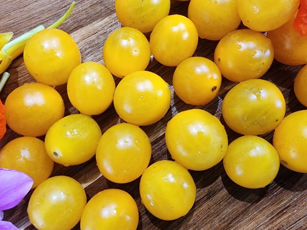 Galapagos Yellow Currant Tomato Seeds Fashion