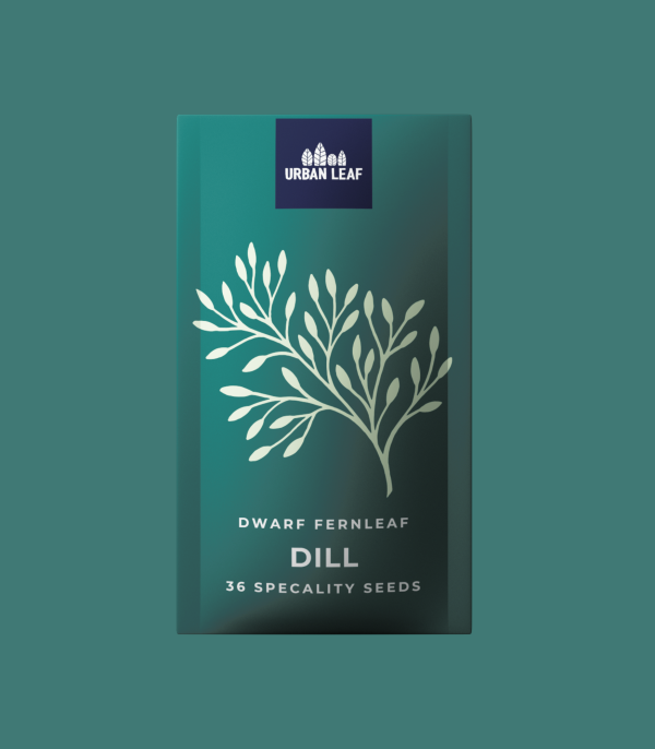 Dill - Dwarf Fernleaf Online Sale