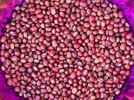 Doyou Azuki Bean Seeds Online Sale