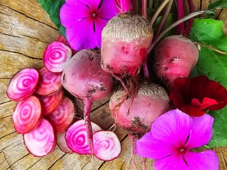 Chioggia Beet Seeds For Discount