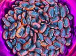 Scarlet Runner Pole Bean Seeds Fashion