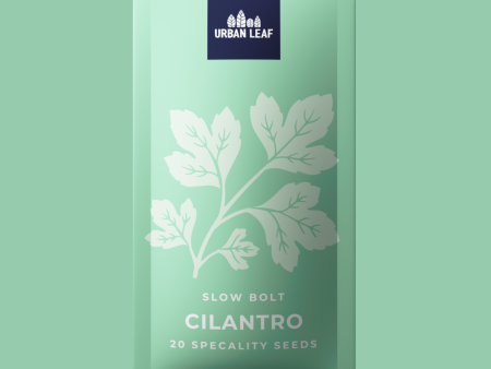 Cilantro - Slow Bolt Online Hot Sale