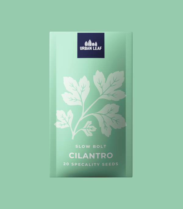 Cilantro - Slow Bolt Online Hot Sale