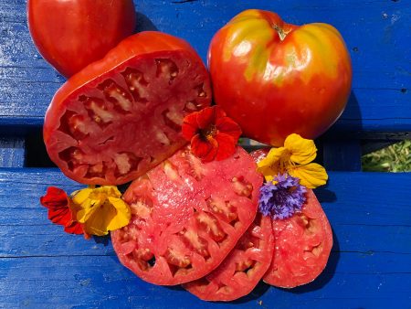 Pomodoro Cuore Antico di Acqui Terme Tomato Online now