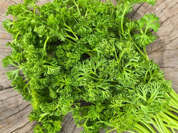 Curly Leaf Parsley Herb Seeds Cheap