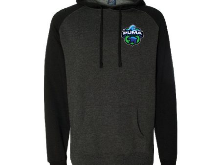 Puma Aquatics - Raglan Crest Hoodie Discount