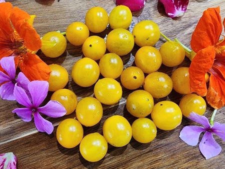 Galapagos Yellow Currant Tomato Seeds Fashion