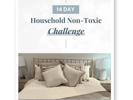 14 Day Non-Toxic Household Challenge For Sale