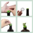 Bottle Garden Kit Sale