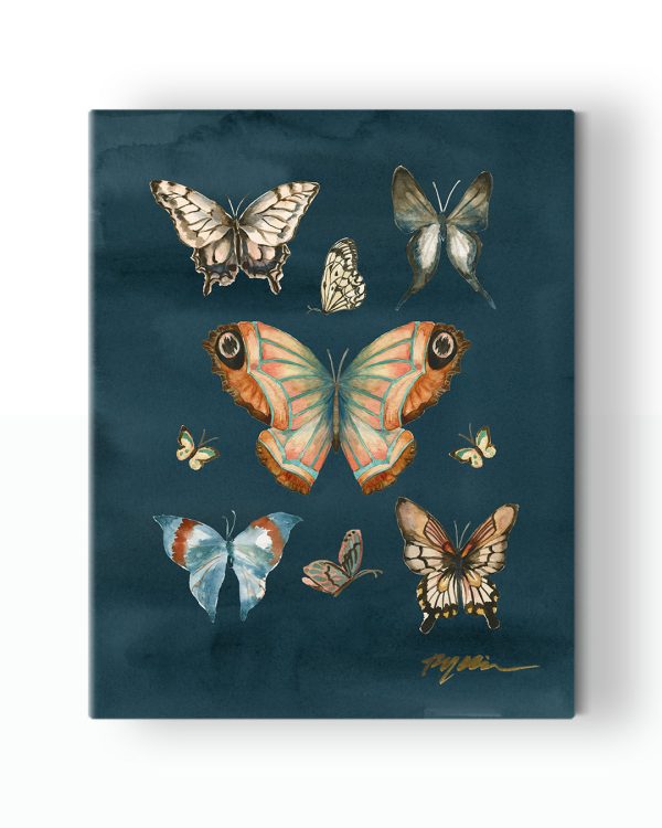 Butterfly Study Canvas Sale