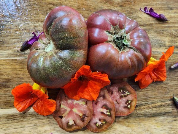 Dwarf Purple Reign Beefsteak Tomato For Cheap